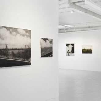 Rainbow Road. Courtesy of Galerie Sébastien Bertrand