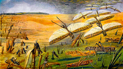 Ilustración de una nube de langostas aparecida en un toma de la Meyers Konversations-Lexikonen 1913