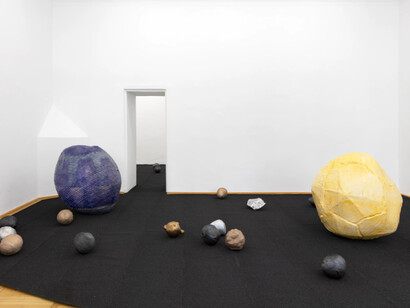 Sonia Leimer, Dust buddies, ausstellungsansicht. Mit freundlicher genehmigung der Galerie nächst St. Stephan