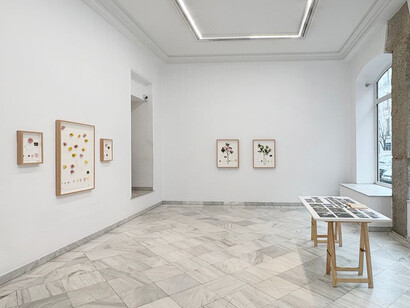 Alberto Baraya, Journey to Galicia, exhibition view. Courtesy of Fernando Pradilla Gallery