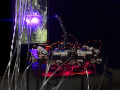 Visions Of Sensory Space
