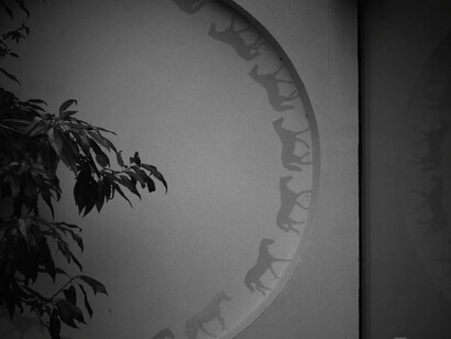 Hiraki Sawa, Nobody (detail), 2023. Courtesy of Ota Fine Arts