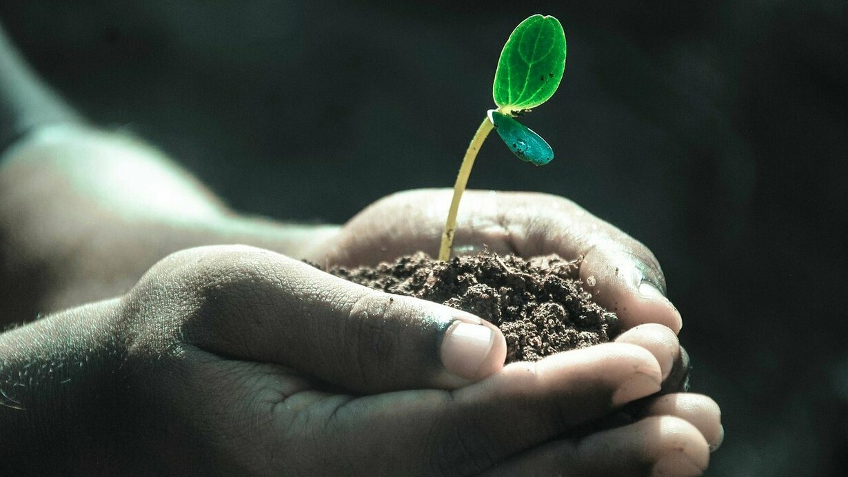 Ogni foglia che cade nutre il germoglio che rifiorirà a primavera, la vita e la morte sono compresenti nel passaggio delle stagioni. L’esistenza è circolare e la natura ce lo insegna