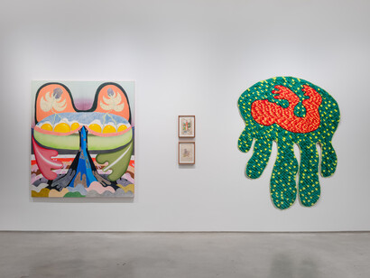 Thiago Barbalho e Antonio Henrique Amaral, Ficções orgânicas, vista da exposição. Cortesia da Galeria Nara Roesler