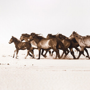 Roberto Dutesco, Western run (1/3), 2007. Courtesy of West Chelsea Contemporary 