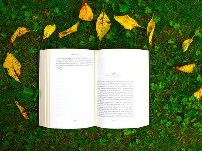 Libro