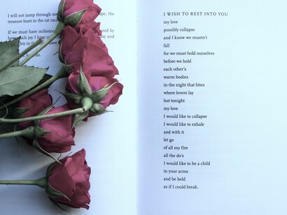 A paixão pelos livros