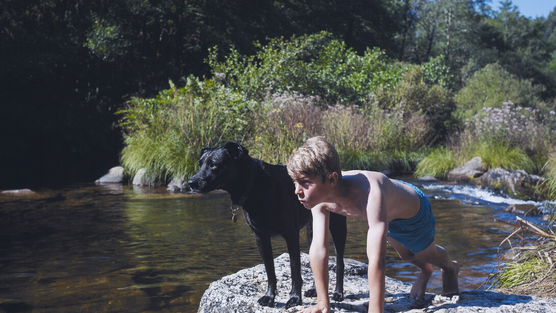 Dog and boy by Laurence Cartwright, 2013 © Laurence Cartwright