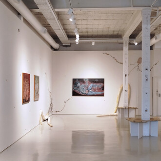 Marina Daiez, Ontogenia plantihumana, vista de exhibición. Cortesía de la Galería Nora Fisch