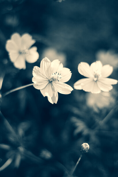 Al reconocer lo recibido, incluso en contextos adversos, se fortalece la resiliencia y se abre la posibilidad de aprender de la dificultad sin quedar atrapados en ella