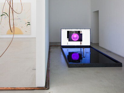 Florian Meisenberg, Being blonde with insufficient funds, 2014, copper tubes, steal strings, metal and plastic fiber, 70 inches television and water, Edition: N/A. Courtesy of Mendes Wood DM, São Paulo