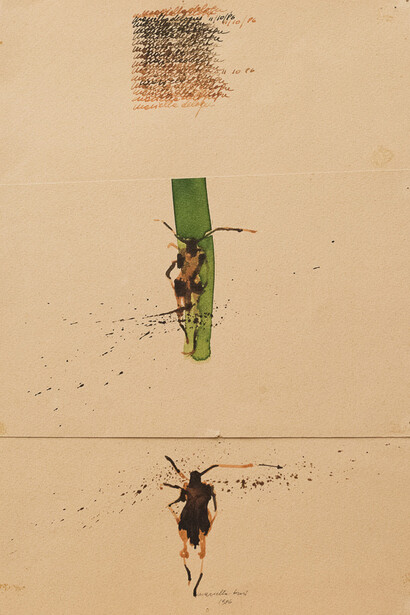 Il cavaliere errante. Foto di Valeria Nonni