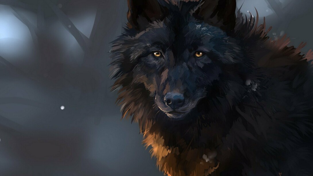 Um lobo negro