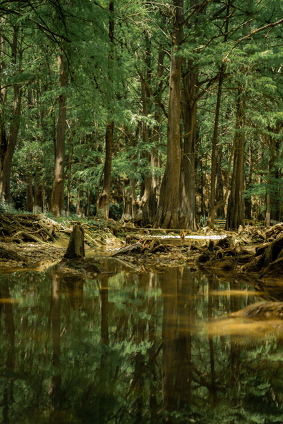 Como un ser capaz de moverse entre el agua y la tierra, una vocación múltiple puede unir intereses aparentemente alejados y encontrar sentido en esa diversidad