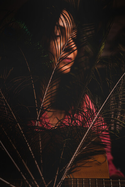 Casa. Disegna il suo habitat a cerchi concentrici, nell’impresa di racchiudere i vari settori dell’abitare e del vivere, e non nasconde i limiti della sua capacità di adattamento