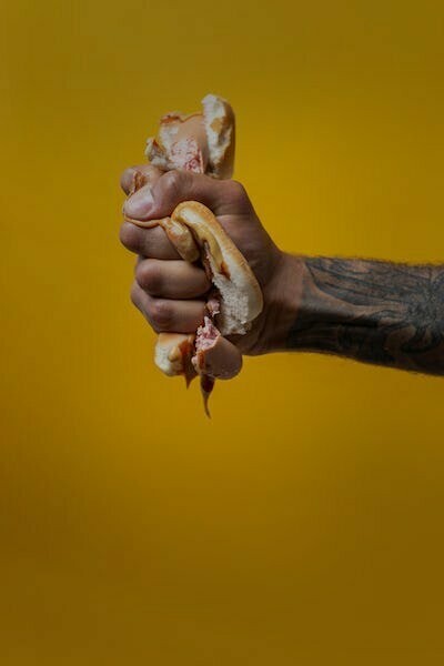 Un hotdog sgretolato. L’alimentazione non dovrebbe essere un argomento fondamentale di cui lo Stato si dovrebbe occupare?