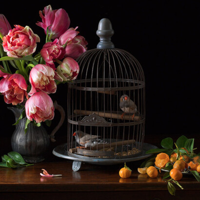 Paulette Tavormin. Courtesy of Robert Mann Gallery