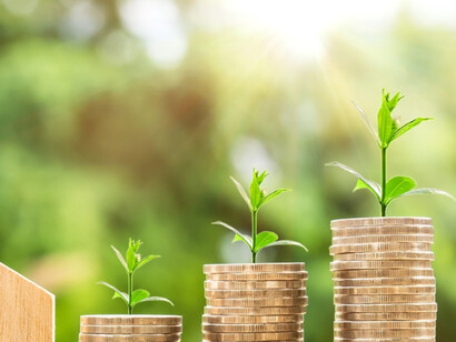 Steps to valuing ecological growth