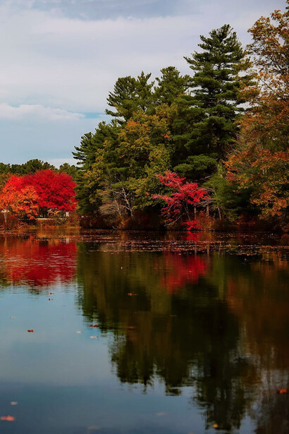 Un lago nel quale si riflettono alberi rivestiti di foglie dai colori tipicamente autunnali 