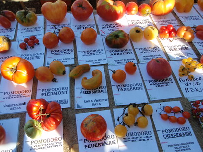 Varietà di pomodori in un mercato a Lucca