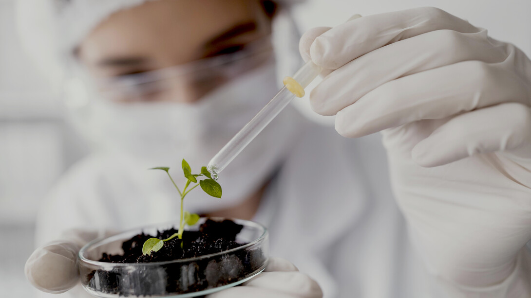 A scientist waters a small plant in the lab, reflecting the nurturing side of biotechnology and future farming