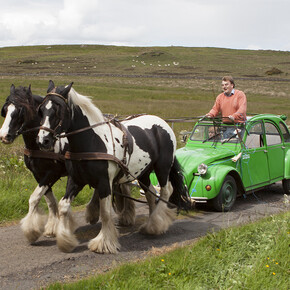 William Mackrell, Deux Chevaux (Northumberland), 2011, C-type print on Fuji Crystal Archival Paper, 42 cm x 29.7 cm, Courtesy The Ryder Projects