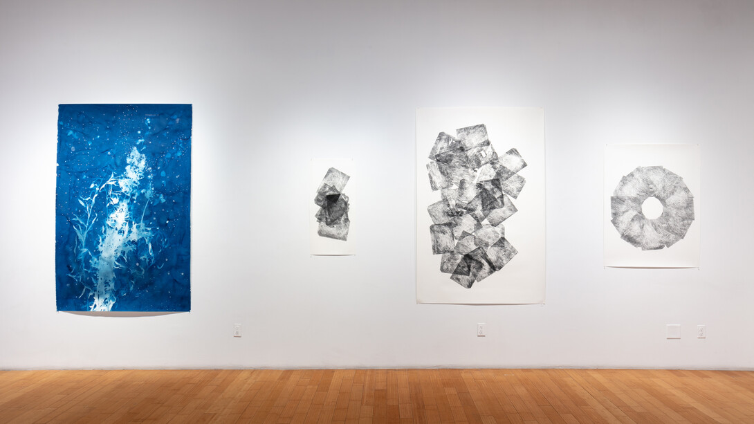 Exhibition View, Indexing Nature, Christine Nguyen and Chris Oatey. Courtesy of the artist and David B. Smith Gallery