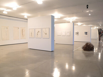 Eight decades of informal abstraction. Courtesy of MAM