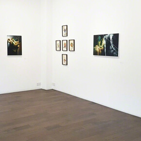 Early Modern Matters. Courtesy of James Freeman Gallery