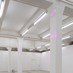 Elena Narbutaitė. Courtesy of Carré d’Art