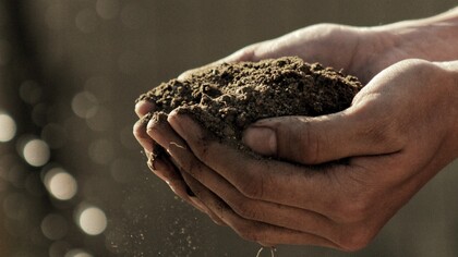 Por un nuevo modelo productivo que no esquilme la tierra y garantice el Estado del Bienestar