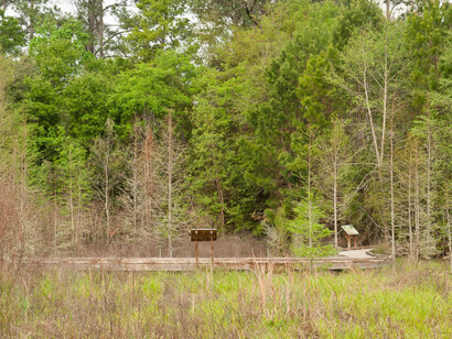 Natural Area Teaching Lab Trails. Courtesy of Florida Museum of Natural History