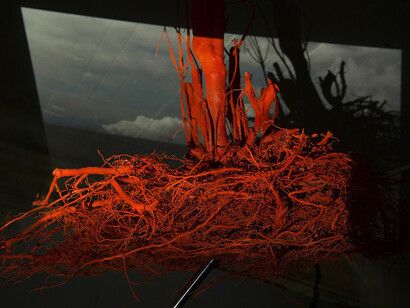 Jia-Jen Lin. Courtesy of Rubber Factory