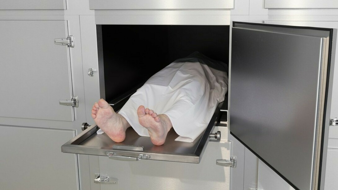 Elmgreen and Dragset. Changing Subjects, Exhbition view. Courtesy of The Flag Art Foundation