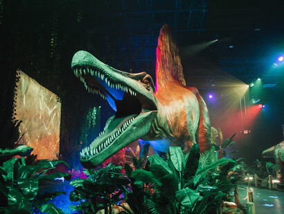 Dinos alive, an immersive experience. Courtesy of Fever