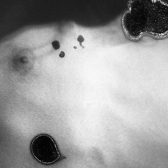 Grace Martella, Self-portrait, 2021. Courtesy of Viasaterna Gallery