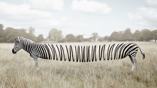 Zulkarnain Ismail. Courtesy of Erarta Museum