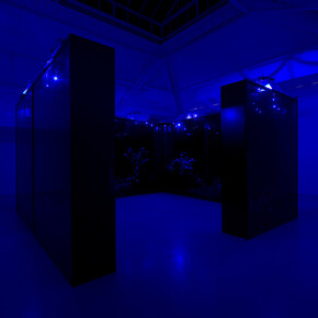 Hicham Berrada, Celeste, 2014, Color video. Grey sky, sky blue smoke, 5 min 55 s, View of the exhibition "Paysages a circadiens", kamel mennour (6 rue du Pont de Lodi), Paris, 2015 © Hicham Berrada © Photo. Fabrice Seixas, Courtesy the artist and kamel mennour, Paris