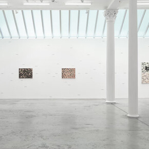 Tran Luong, When sky merges with Earth, exhibition view. Courtesy of Bortolami