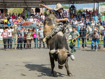 A bull rider in a plaid shirt during a rodeo in Mexico