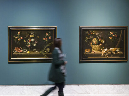 Colección Masaveu, objeto y naturaleza, vista de exhibición. Cortesía del Museo de Bellas Artes de València