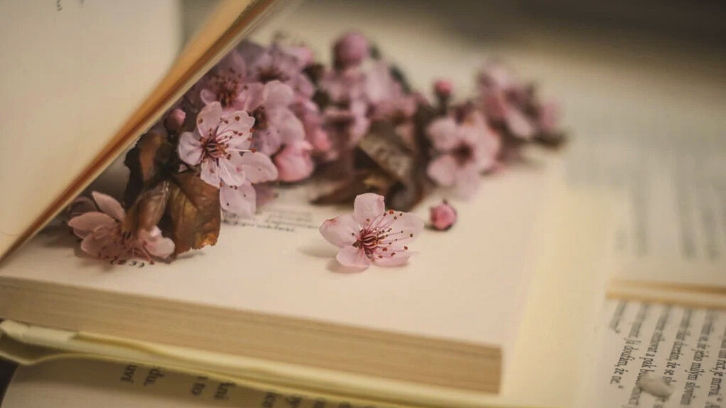 Libros de poesía: La Conferencia global de investigadores universitarios sobre temas del mundo hispano tiene por objetivo visibilizar y proyectar a los creadores hispanos en los Estados Unidos