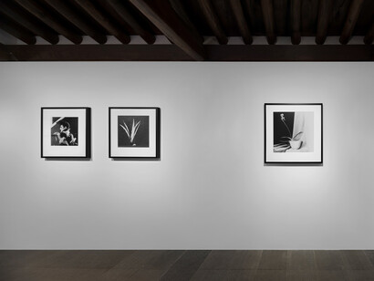 Robert Mapplethorpe, The poetics of form, exhibition view. Courtesy of Kukje Gallery