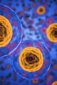 Desentrañando los misterios del cuerpo humano