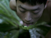 Garden of Earthly Delights. Courtesy of Martin Gropius Bau