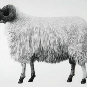 Jonathan Delafield Cook, Rough Fell, 2013, charcoal and conté on primed linen 100 x 130 cm