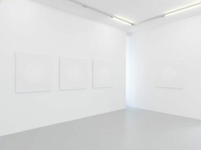 Céleste Boursier- Mougenot, Exhibition view. Courtesy of Galerie Xippas