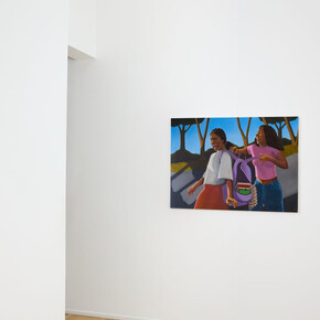 Berenice Vargas Bravo, Un patio particular, exhibition view. Courtesy of Andrew Rafacz 