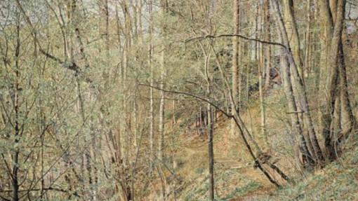 Franz Gertsch. Courtesy of Museum Franz Gertsch