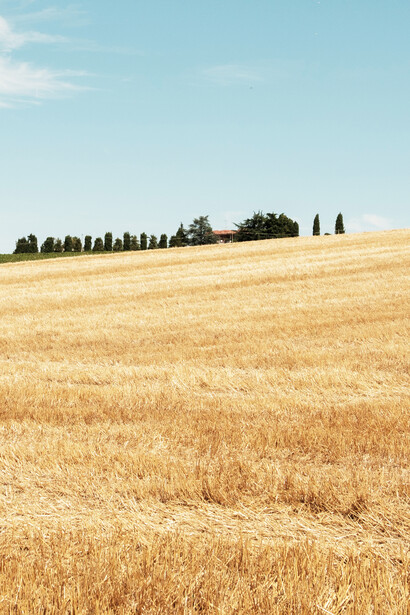 Terreno. Dalla terra alla terra, senza interruzione di continuità, nasce la Farina di Basalto®